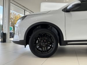 Miniaturka